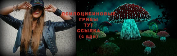 дурь Вязьма